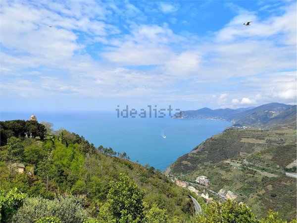 appartamento in vendita a Riomaggiore