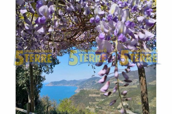 appartamento in vendita a Riomaggiore