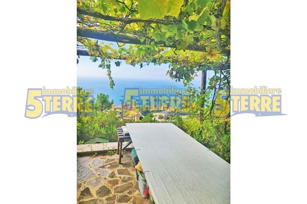 appartamento in vendita a Riomaggiore in zona Manarola