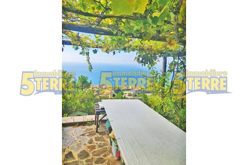 appartamento in vendita a Riomaggiore in zona Manarola