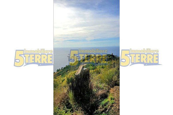 appartamento in vendita a Riomaggiore