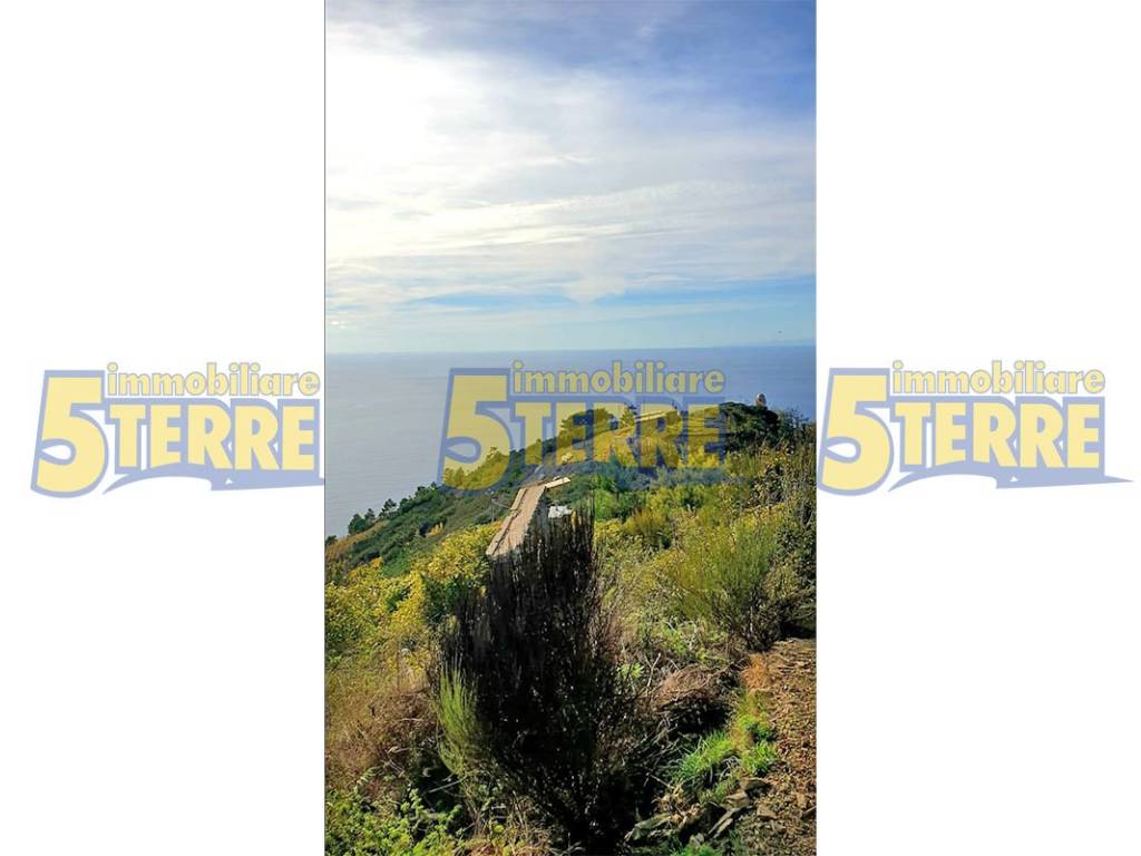 casa indipendente in vendita a Riomaggiore