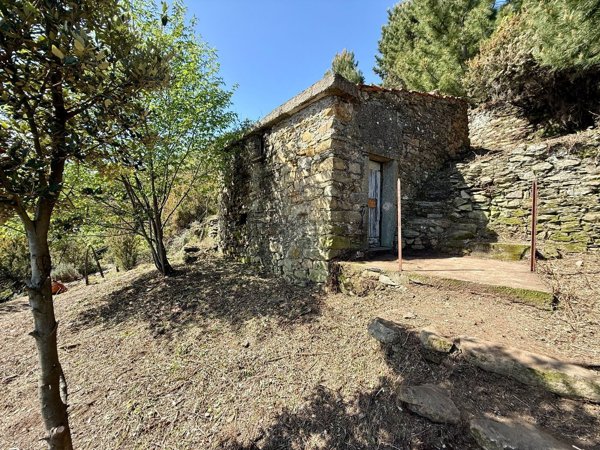 appartamento in vendita a Riomaggiore