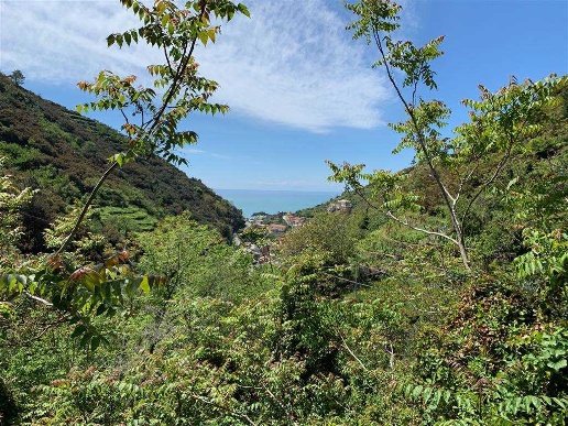 rudere in vendita a Riomaggiore