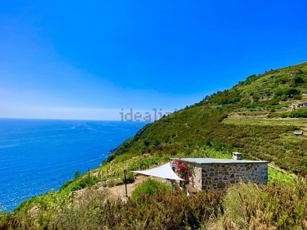 appartamento in vendita a Riomaggiore