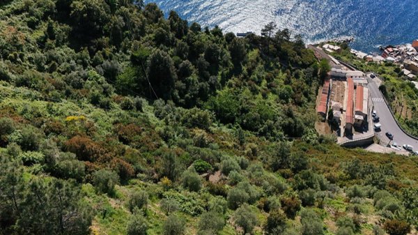appartamento in vendita a Riomaggiore