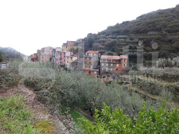 appartamento in vendita a Riomaggiore in zona Manarola