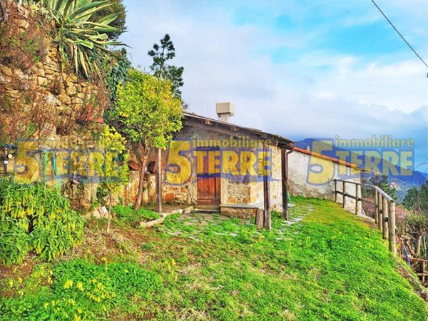 casa indipendente in vendita a Riomaggiore