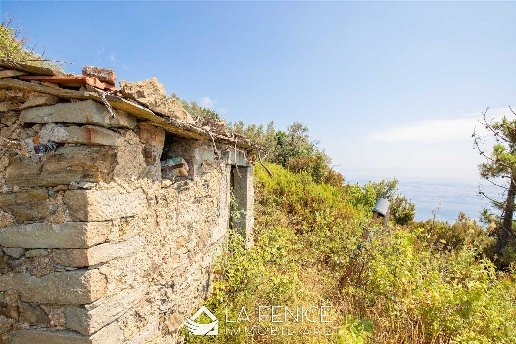 locale di sgombero in vendita a Riomaggiore in zona Manarola