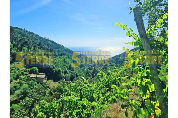 casa indipendente in vendita a Riomaggiore