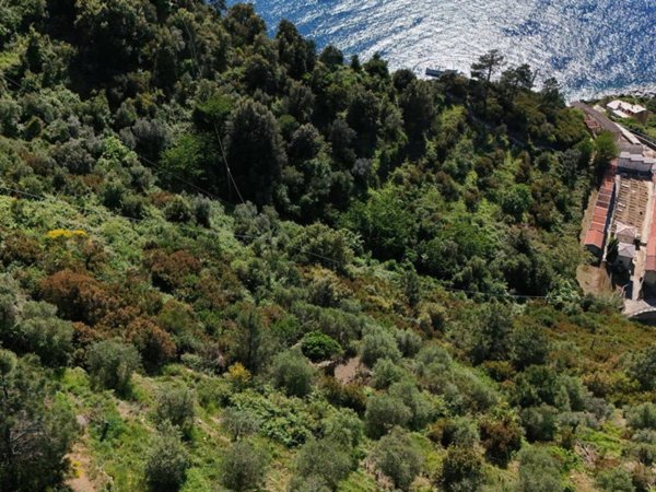casa indipendente in vendita a Riomaggiore