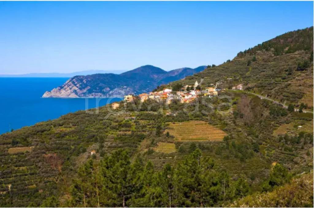 appartamento in vendita a Riomaggiore in zona Manarola