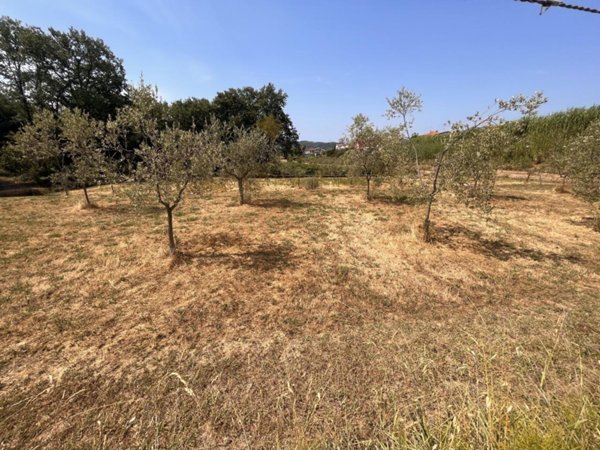 terreno edificabile in vendita a Santo Stefano di Magra in zona Ponzano Magra