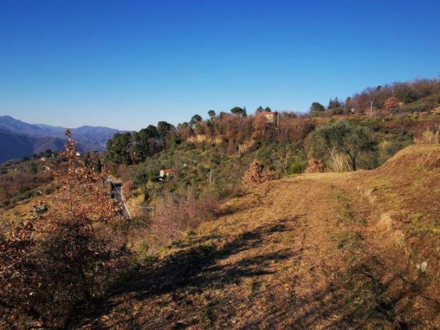 terreno agricolo in vendita a Santo Stefano di Magra in zona Ponzano Superiore