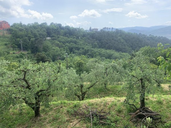 terreno agricolo in vendita a Santo Stefano di Magra in zona Ponzano Superiore