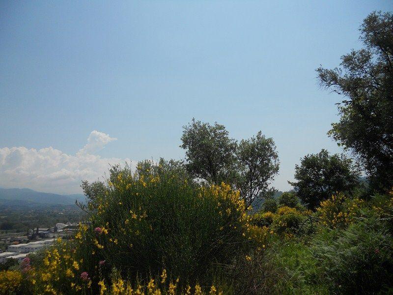 terreno agricolo in vendita a Santo Stefano di Magra