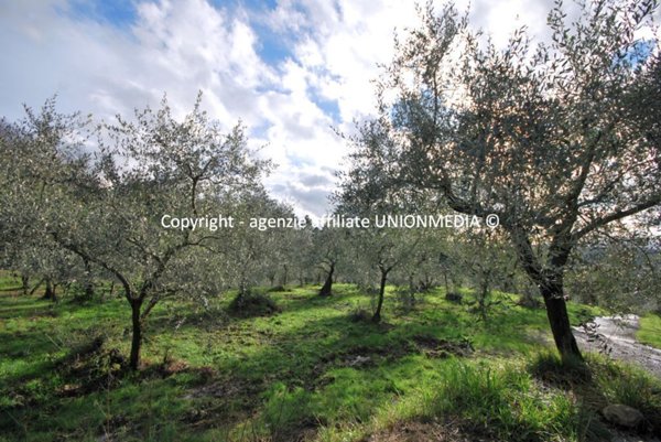 casale in vendita a Santo Stefano di Magra in zona Ponzano Magra