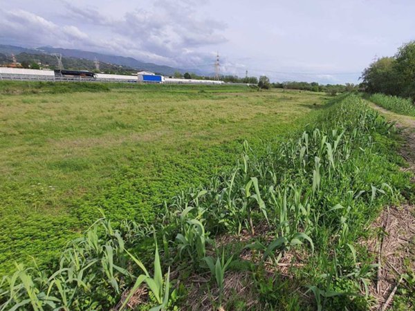 terreno agricolo in vendita a Santo Stefano di Magra