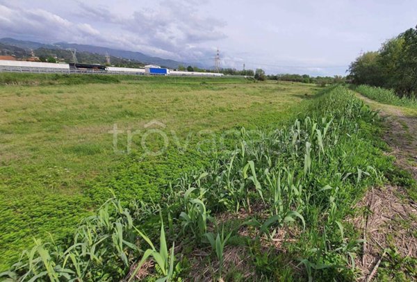 terreno agricolo in vendita a Santo Stefano di Magra