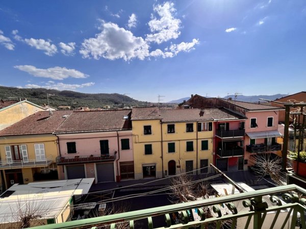 esavano in vendita a Santo Stefano di Magra in zona Ponzano Magra