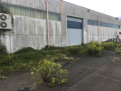 terreno edificabile in vendita a Santo Stefano di Magra