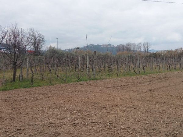 terreno agricolo in vendita a Santo Stefano di Magra in zona Ponzano Magra