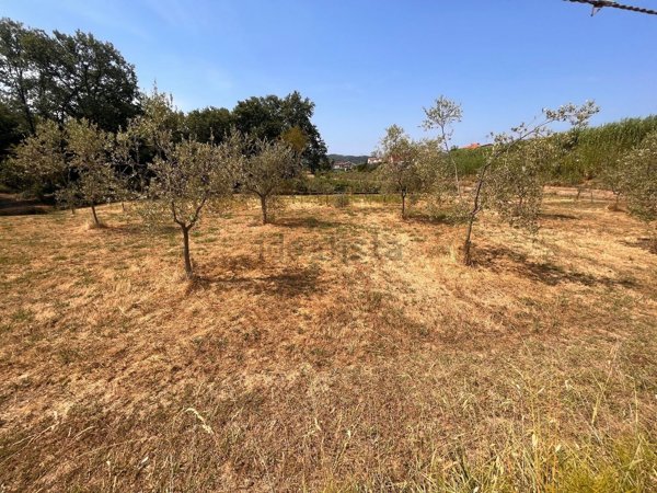terreno edificabile in vendita a Santo Stefano di Magra