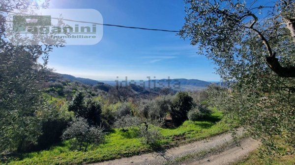 azienda agricola in vendita a Santo Stefano di Magra in zona Ponzano Superiore