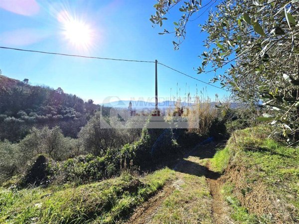 terreno agricolo in vendita a Santo Stefano di Magra
