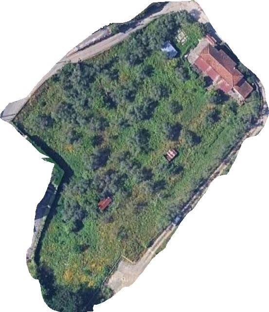 terreno agricolo in vendita a Santo Stefano di Magra