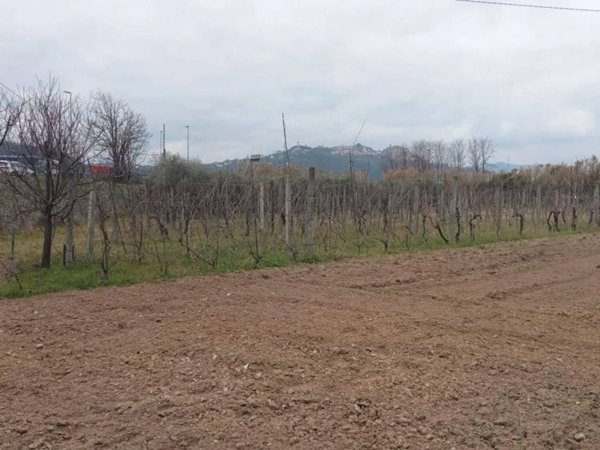 terreno agricolo in vendita a Santo Stefano di Magra in zona Ponzano Magra