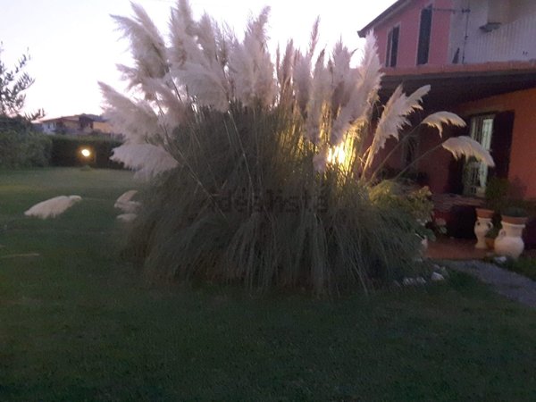 casa indipendente in vendita a Santo Stefano di Magra