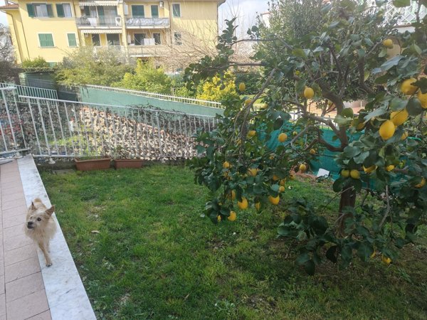 appartamento in vendita a Santo Stefano di Magra in zona Ponzano Magra