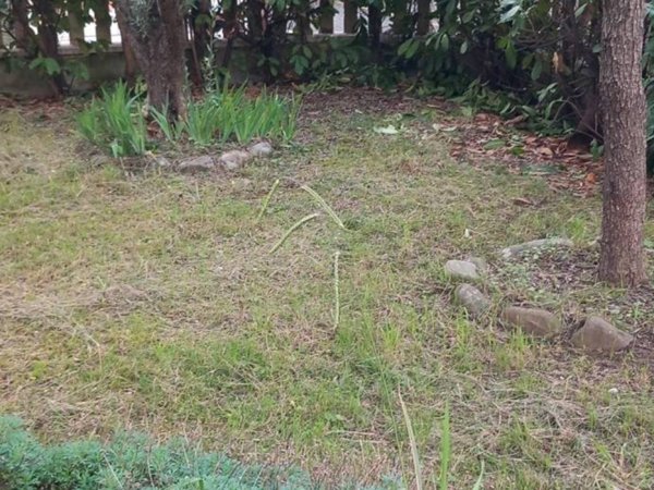 appartamento in vendita a Santo Stefano di Magra in zona Ponzano Magra