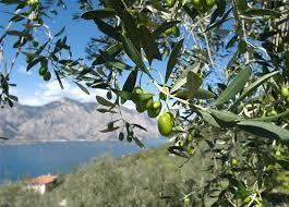 appartamento in vendita a Sarzana