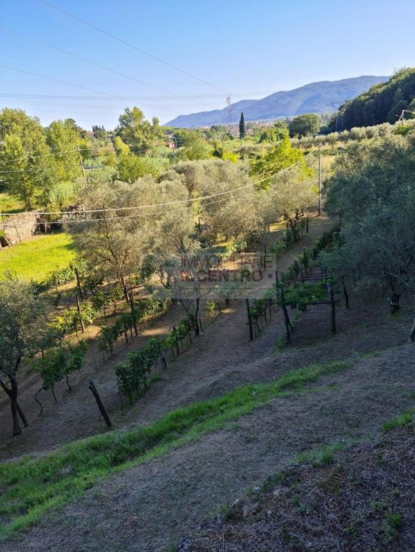 appartamento in vendita a Sarzana in zona Falcinello