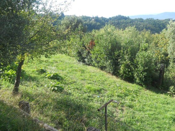 appartamento in vendita a Sarzana