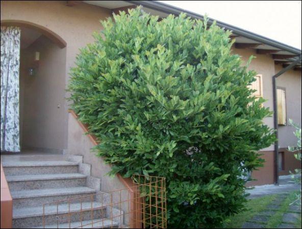 casa indipendente in vendita a Sarzana