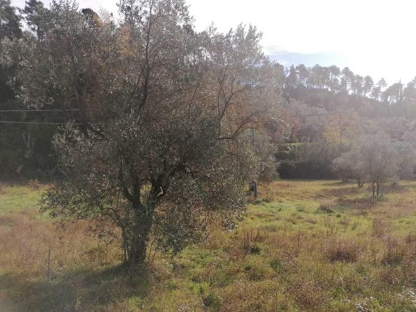 casa indipendente in vendita a Sarzana in zona San Lazzaro