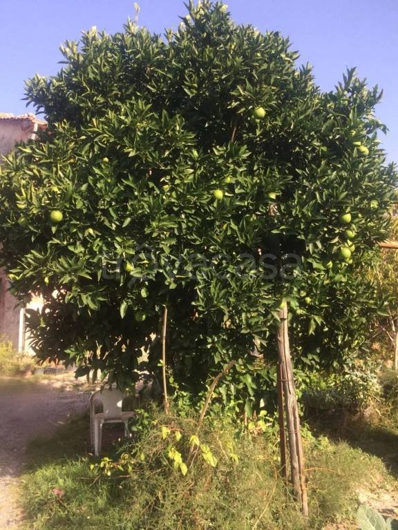 casa indipendente in vendita a Sarzana in zona San Lazzaro