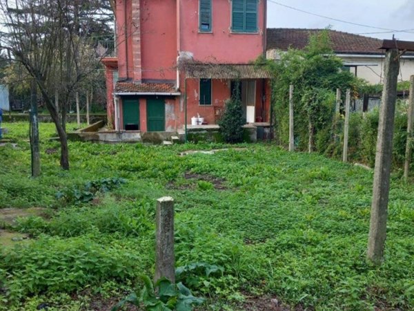 casa indipendente in vendita a Sarzana in zona Falcinello