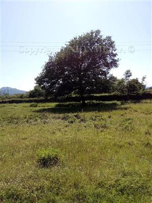 terreno agricolo in vendita a Sarzana
