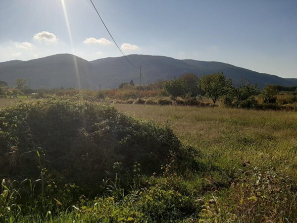 terreno agricolo in vendita a Sarzana