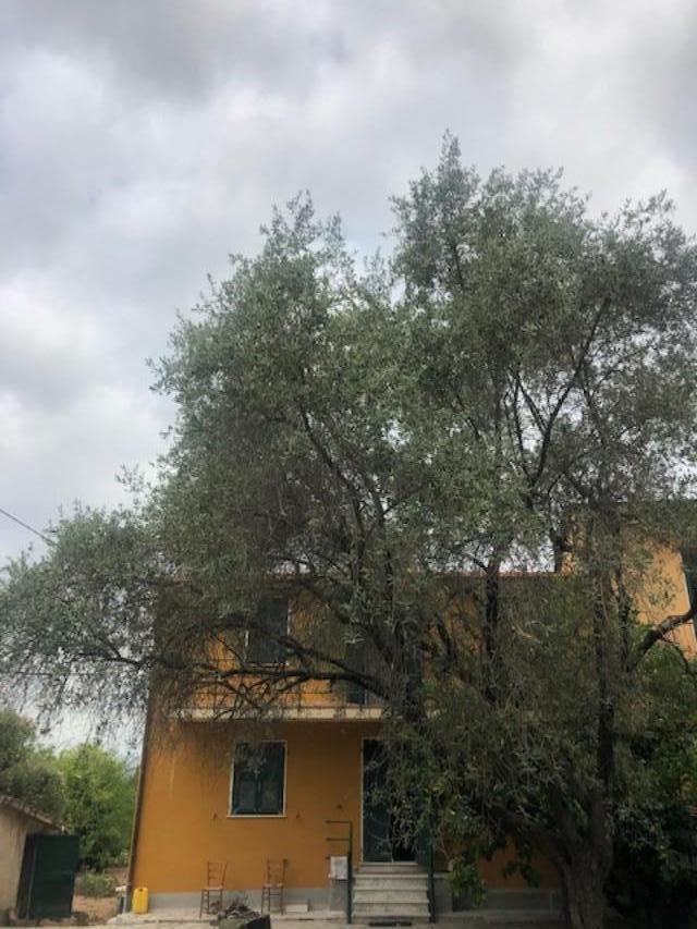 casa indipendente in vendita a Sarzana