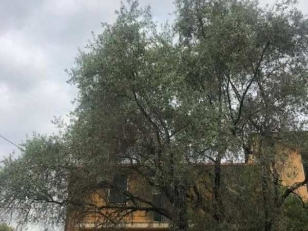 appartamento in vendita a Sarzana