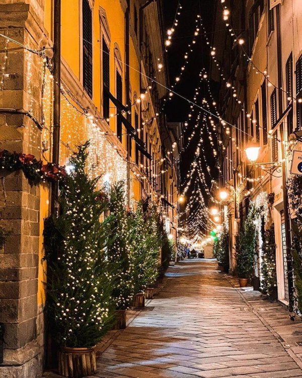 appartamento in affitto a Sarzana