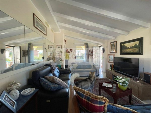 immagine annuncio 0 di 15