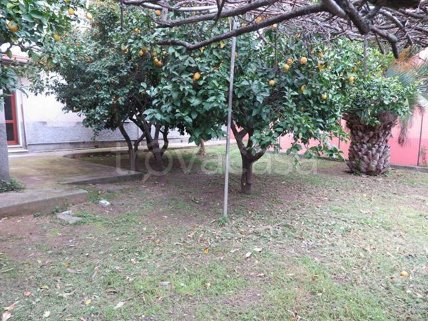 appartamento in vendita a Sarzana