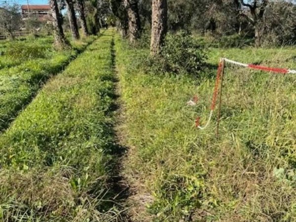 casa indipendente in vendita a Sarzana