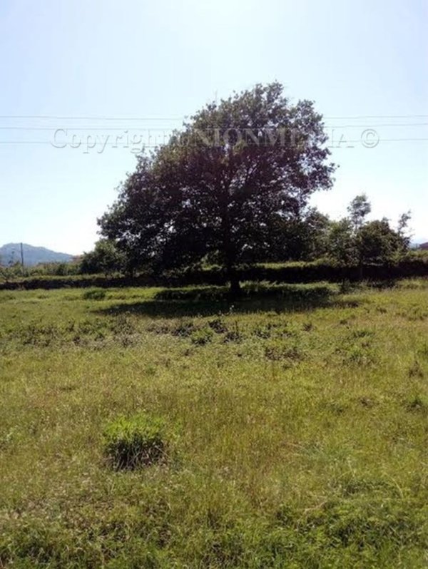 appartamento in vendita a Sarzana